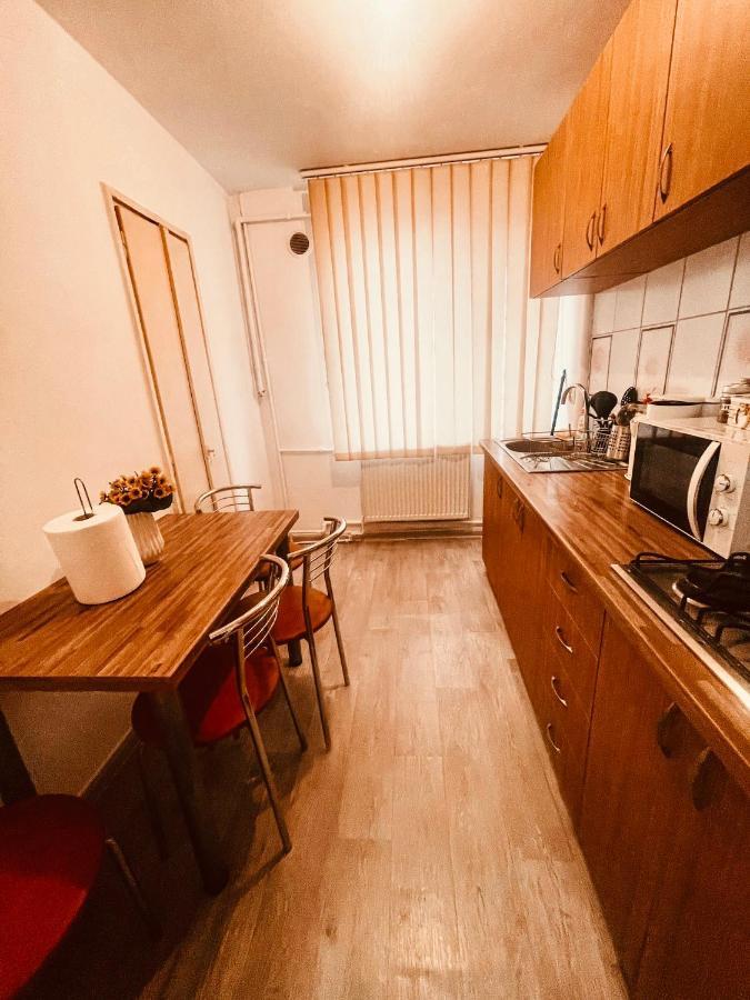 UltraCentral Big apartment - near the Opera Square P17 Timisoara Esterno foto