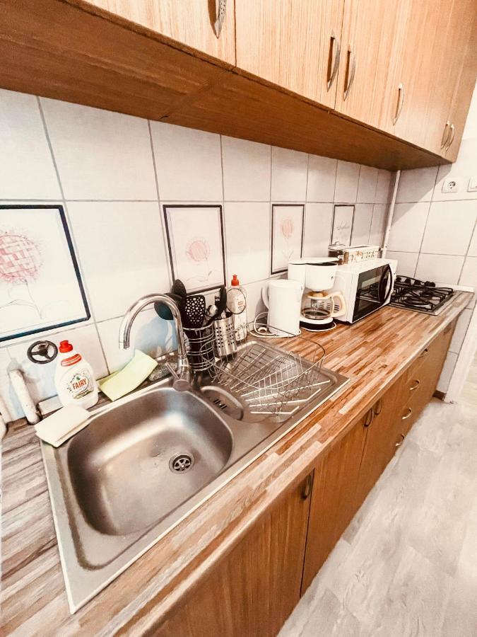 UltraCentral Big apartment - near the Opera Square P17 Timisoara Esterno foto