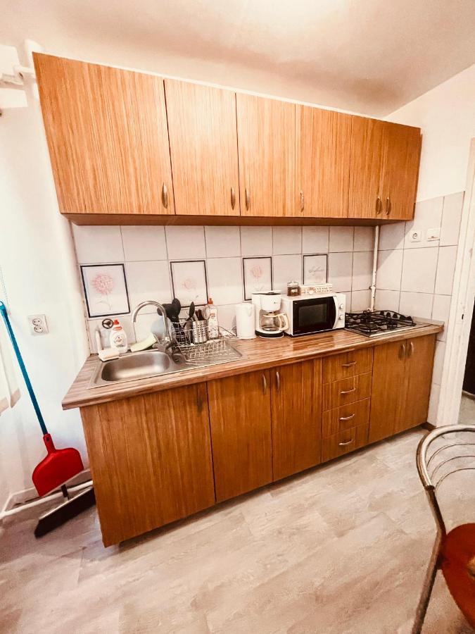 UltraCentral Big apartment - near the Opera Square P17 Timisoara Esterno foto