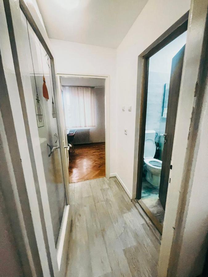 UltraCentral Big apartment - near the Opera Square P17 Timisoara Esterno foto